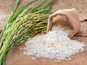 beras organik untuk diabetes